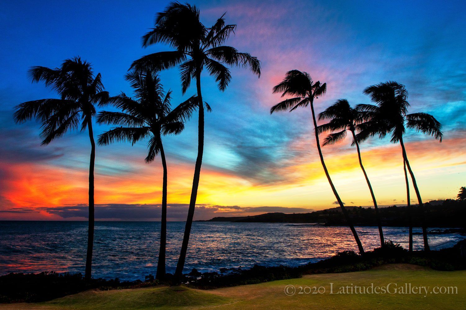 Office wall art of tropical island palm trees blowing in the wind beneath a rainbow-colored sunset.