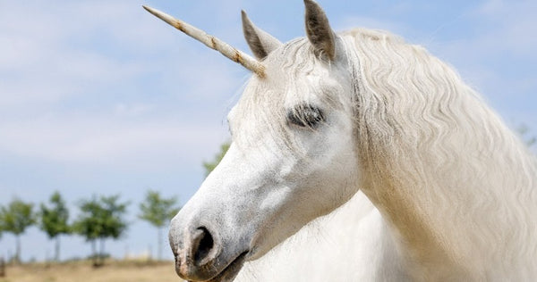 Vraie Licorne