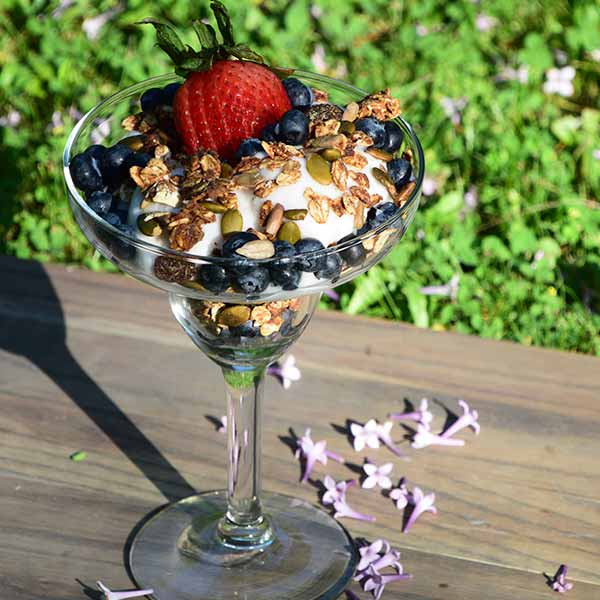 Flavour with Benefits - Yoghurt with Granola