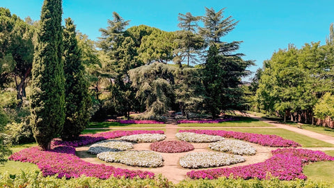 Fotografia donde aparece una plaza de flores coloridas en primavera. En el parque del Capricho