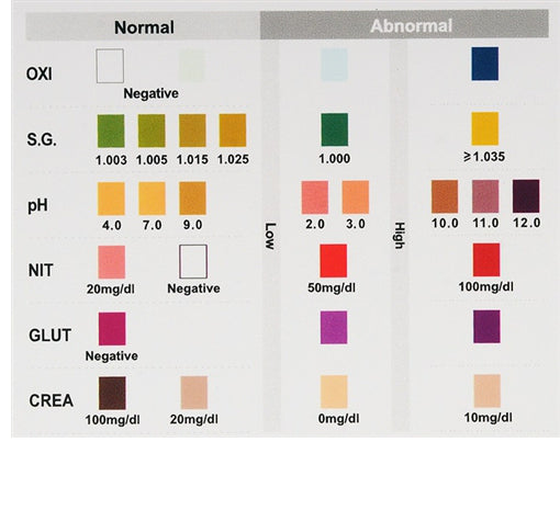 12 Panel Drug Test Two-Sided CLIA Waived with Adulterants