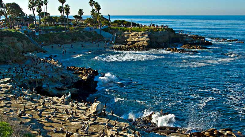 LA JOLLA BUCHT