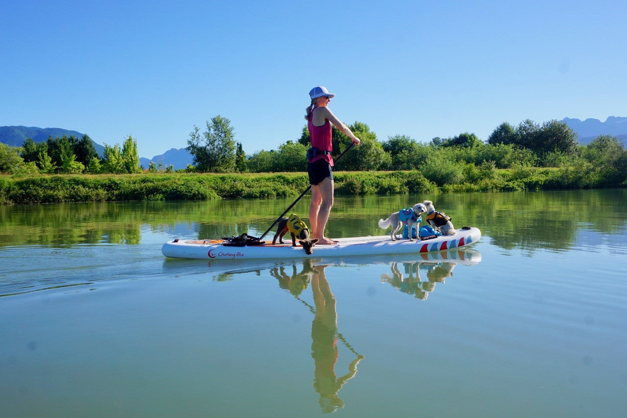 Best Places to Paddle Board in San Diego