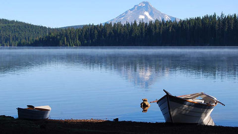 Timothy Lake