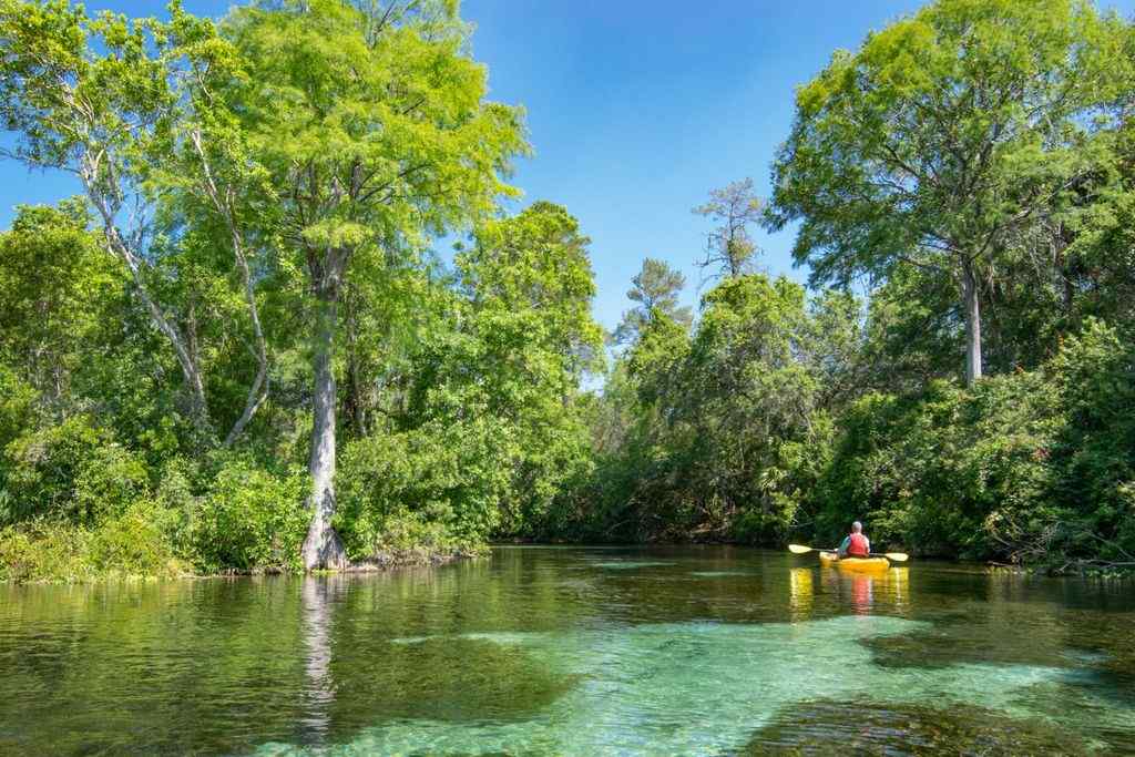 BEST PLACES TO PADDLE BOARD IN SACRAMENTO