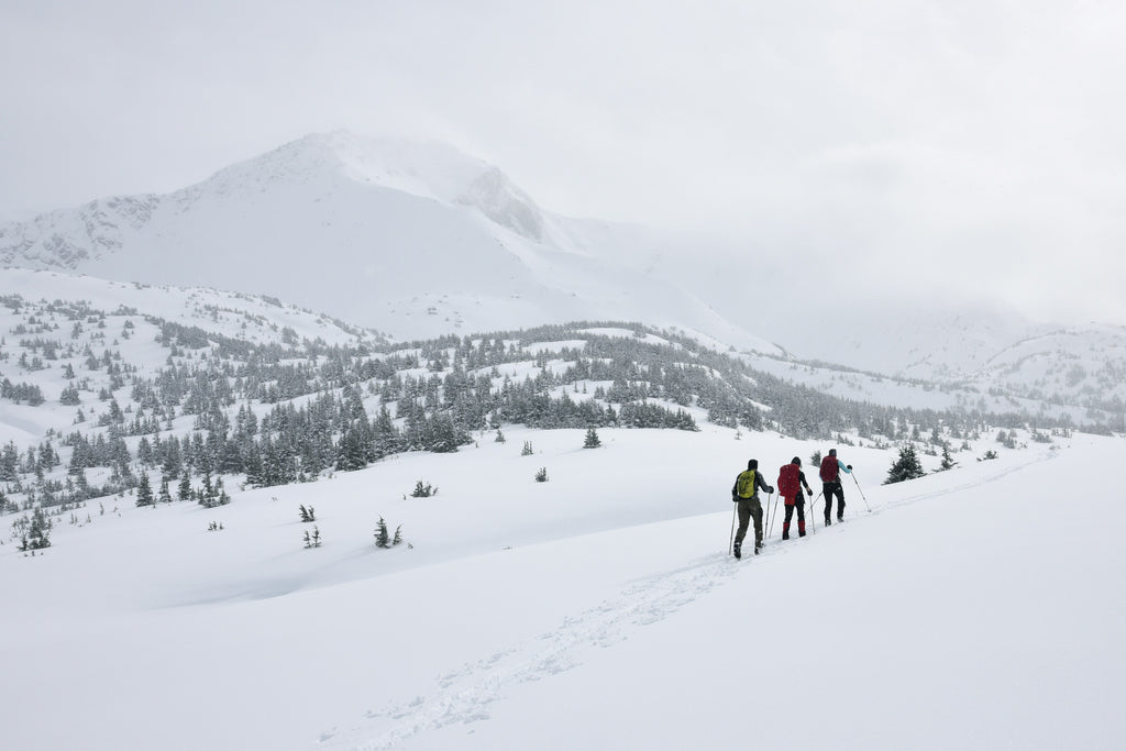 Backcountry skiing