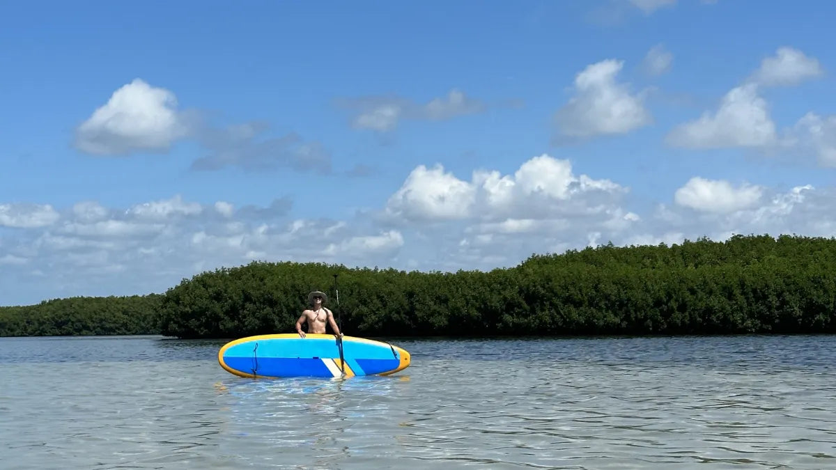 me and my paddleboard