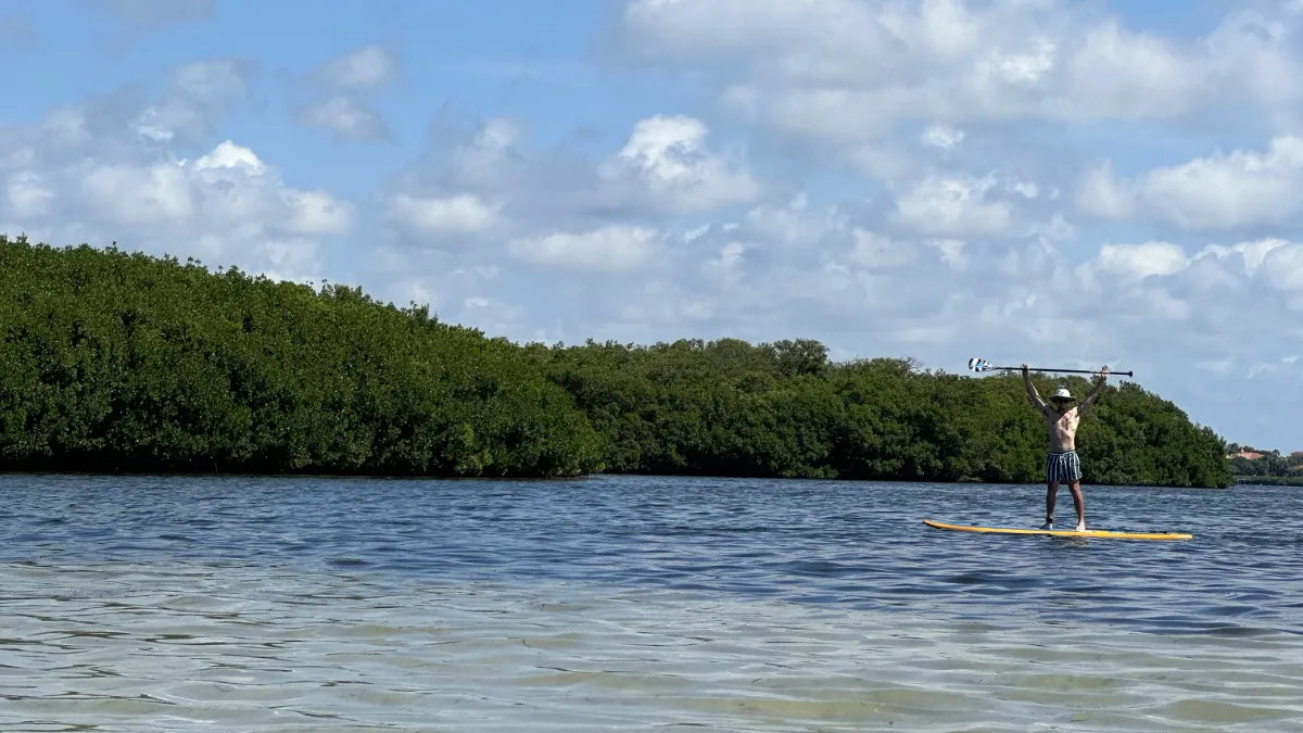 me paddleboarding