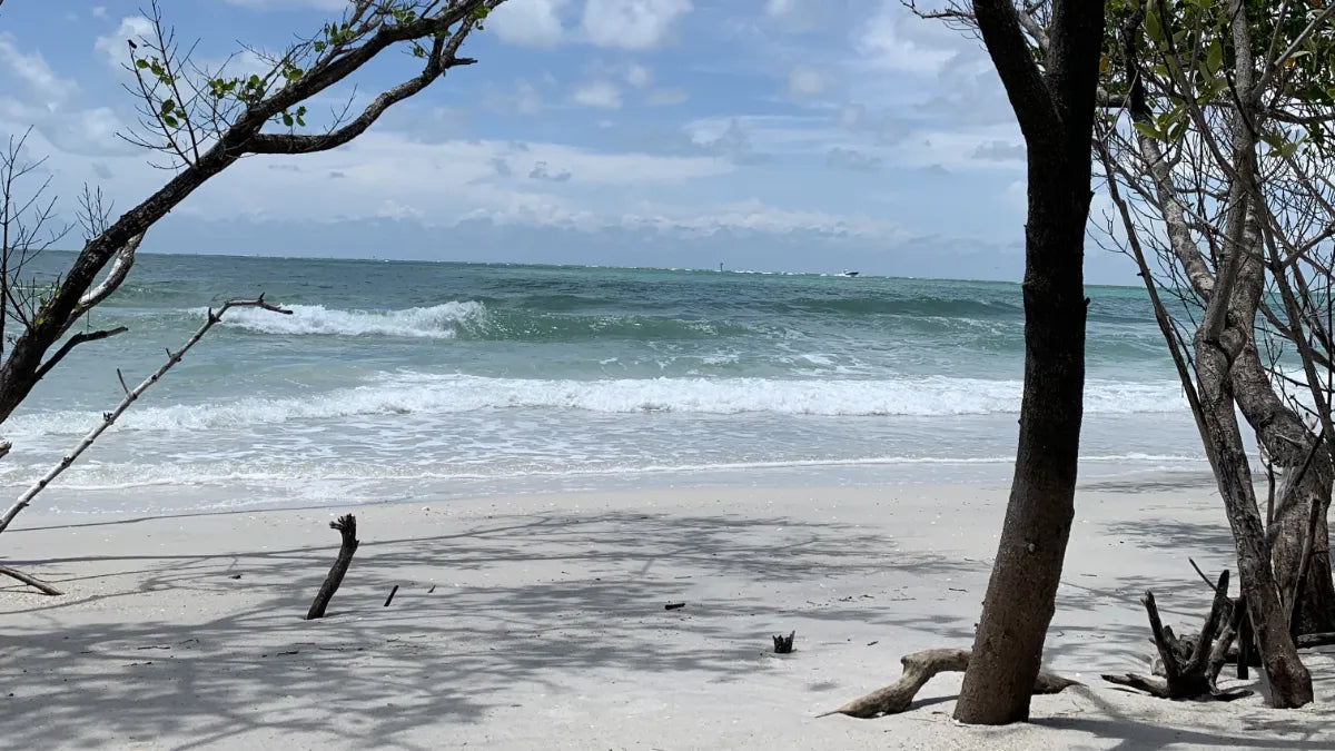 View of the secret beach of Florida is stunning!