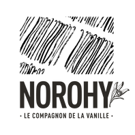Norohy logo.png__PID:72c6b2d3-8c1a-4651-94fc-17c1a04f407b