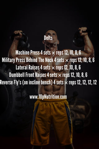 Full Body Workout Without Weights – 1 Up Nutrition