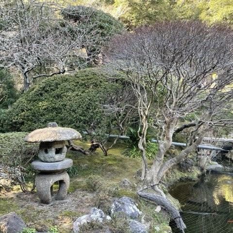 A traditional Japanese garden scene with a stone lantern in the foreground, its thatched-roof design blending into the natural surroundings. Leafless trees with twisted branches suggest late fall or winter. A small bridge arches over a tranquil pond in the midground, reflecting the sparse tree branches above. The garden appears well-maintained and peaceful, evoking a sense of calm and reflection.