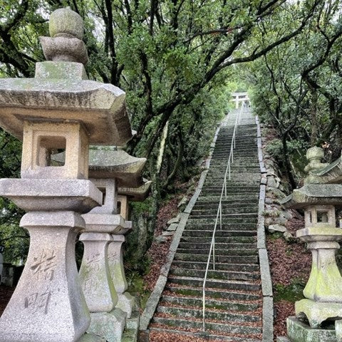 A stone staircase flanked by traditional Japanese stone lanterns leads up through a tunnel of greenery towards a Shinto torii gate at the summit. The scene conveys a sense of tranquility and the spiritual, with the overhanging trees forming a natural canopy over the path. The weathered steps and moss-covered stones suggest a place of historical significance and serene beauty.