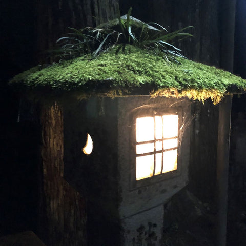 An illuminated stone lantern at night, covered with a layer of green moss and small plants on its top, casting a warm glow through its paper-paneled windows. The background is dark, emphasizing the light and textures of the lantern and its natural cap.