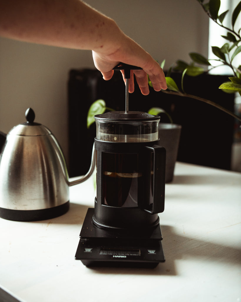 spild væk Armstrong vand How to Brew a Tasty French Press! | The Roasters Pack