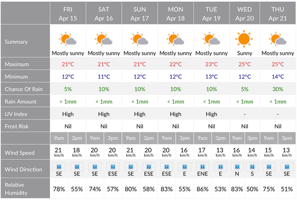 Fish N Bits Weather Report