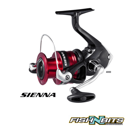 Shimano - Sienna Combo – Fish N Bits