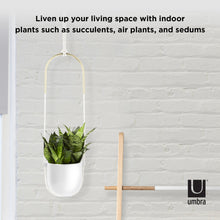 Load image into Gallery viewer, UMBRA BOLO HANGING PLANTER WHITE
