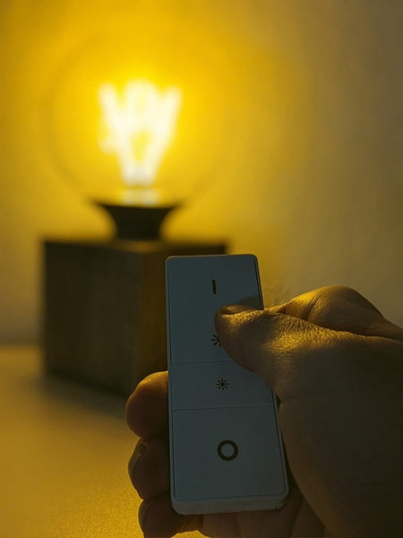 Lighting Dimmer Switch