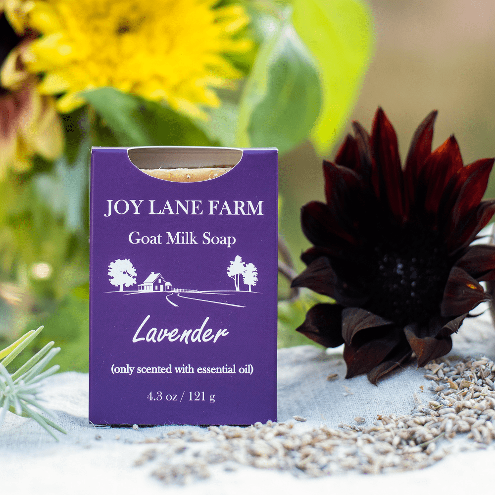 Lavender Goat Milk Soap for Dry Skin