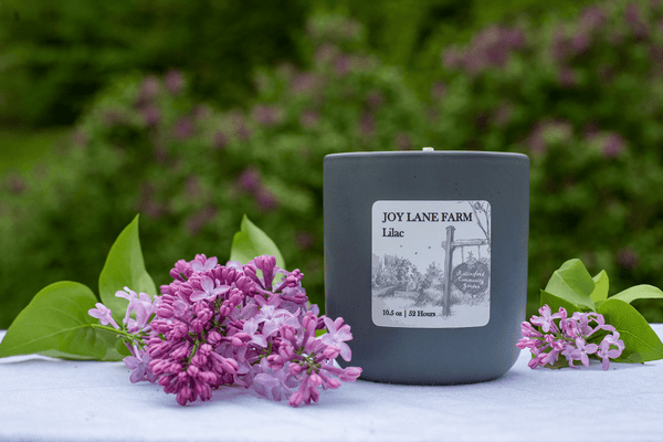 Lilac Soy Candle with Cotton Wick
