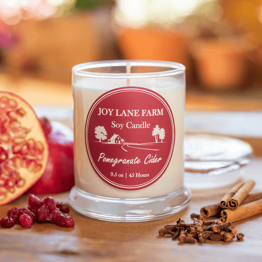 Apple Cinnamon Scented Candle, 100% Soy Candle, Essential Oil Infused, 75-80 Hrs Burn Time, 15oz. Elegant and Relaxing Aromatherapy Candle, Candle