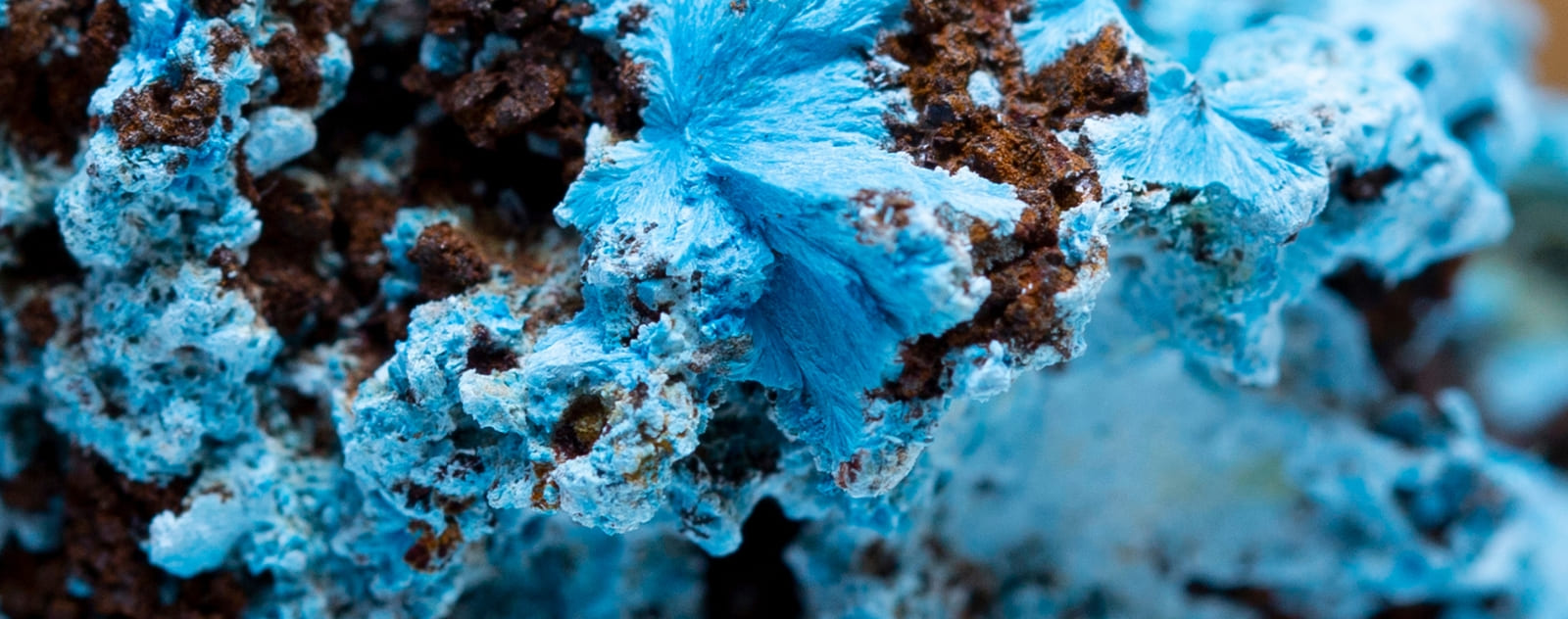 mineraux de shattuckite