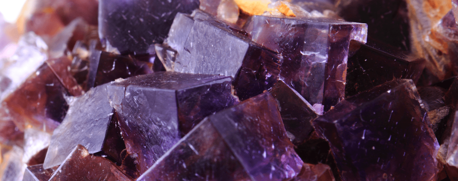 fluorite violette vue de près