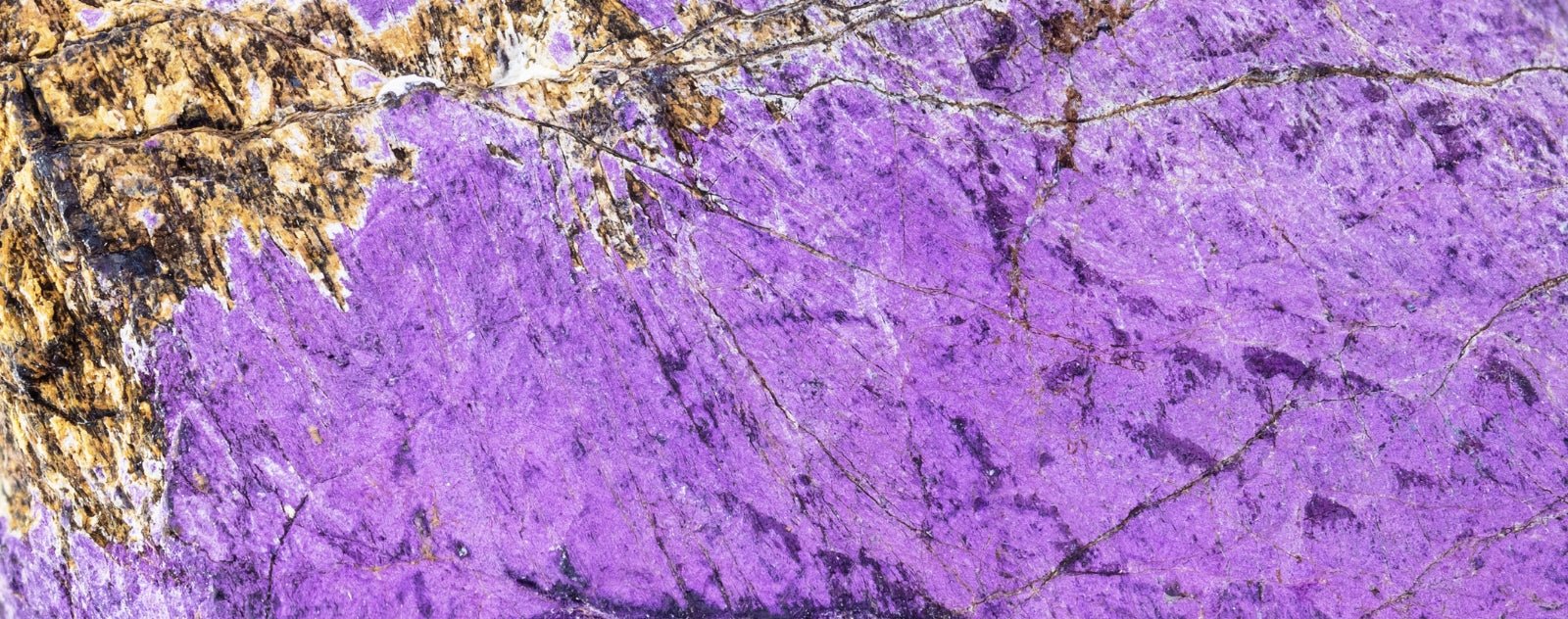 purpurite minéral vu de près