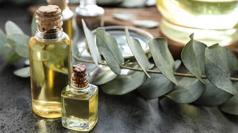 Eucalyptus Oil