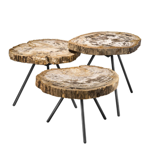 Petrified Wood Coffee Table Set - Casey & Company Bespoke Design