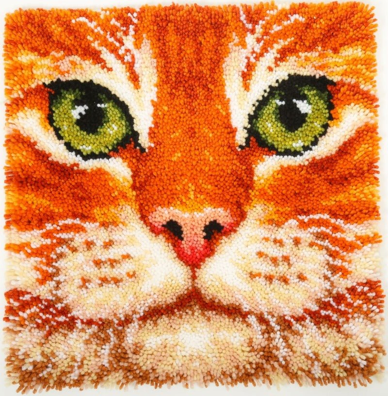 Cat Latch Hook Rug Kit 53.5*53.5cm – Craft Buddy