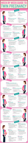 Infografic Twin Pregnancy Diagram