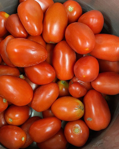 Ripe Roma Tomatoes in a Stainless Steel Stock Pot