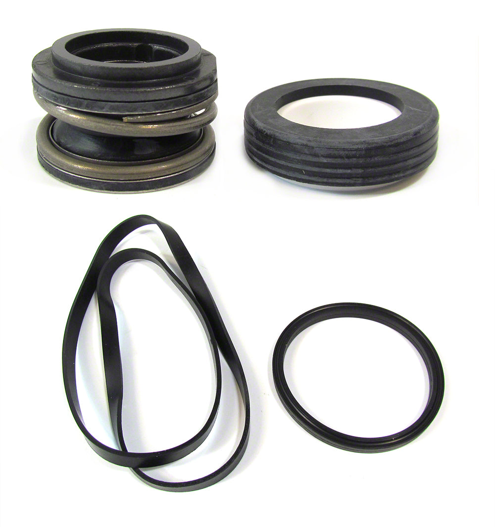 hayward shaft seal kit