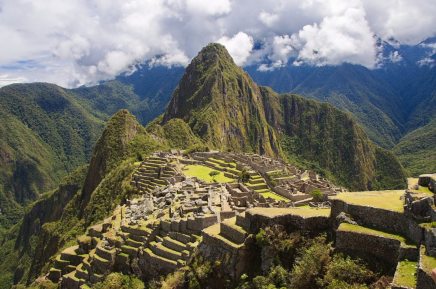 Kaffeeanbau in Peru