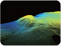 Topographic Survey