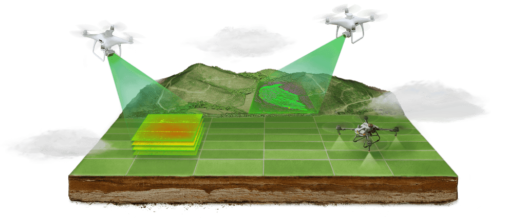 Digital agriculture