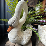 Vintage Garden Swan Planter 