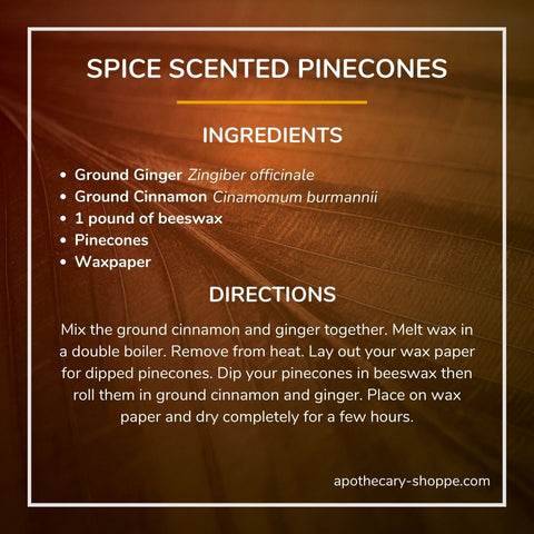 Spice Scented Pinecones Ingredients Ground cinnamon Cinnamomum burmannii Ground Ginger Zingiber officinale 1 pound of beeswax Pinecones Waxpaper Directions Mix the ground cinnamon and ginger together. Melt wax in a double boiler. Remove from heat. Lay out your wax paper for dipped pine cones. Dip pinecones in beeswax then roll them in ground cinnamon and ginger. Place on wax paper and dry completely for a few hours.
