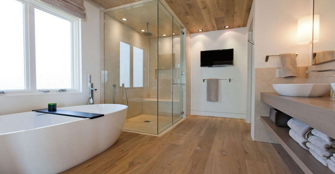 bathroom designs dry and wet area