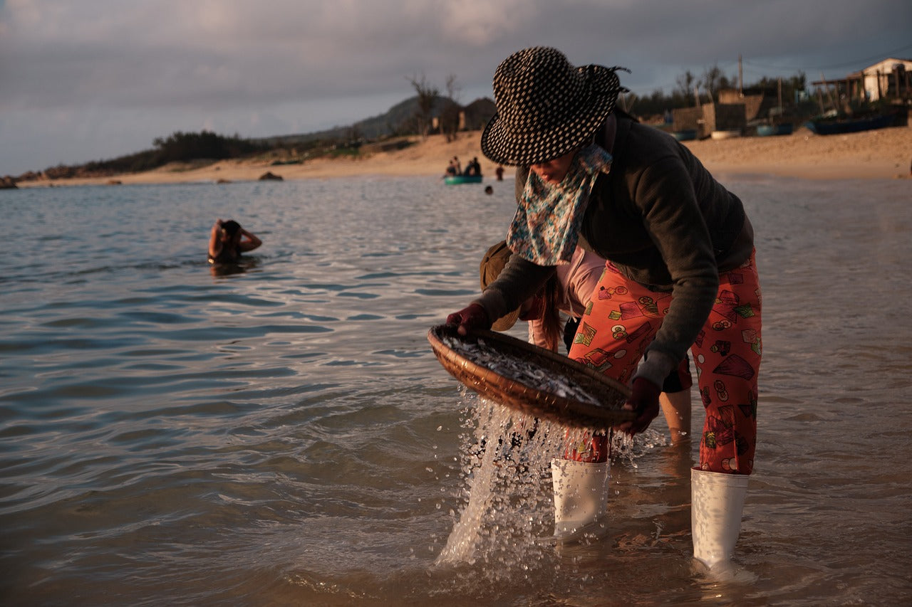 Fishing, Beach, Morning