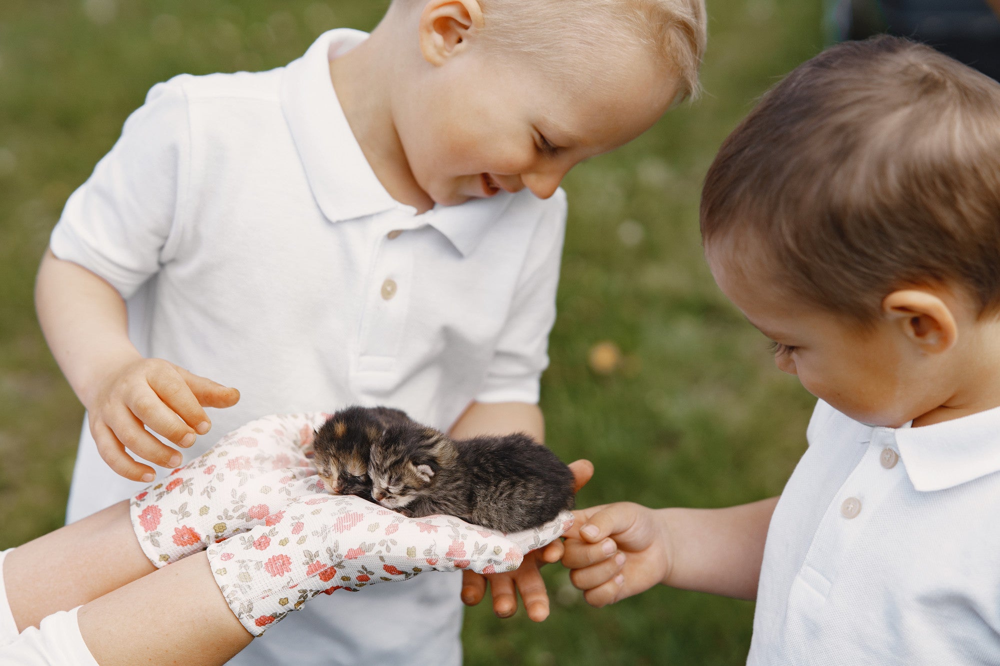 Getting-a-child-to-care-about-animals