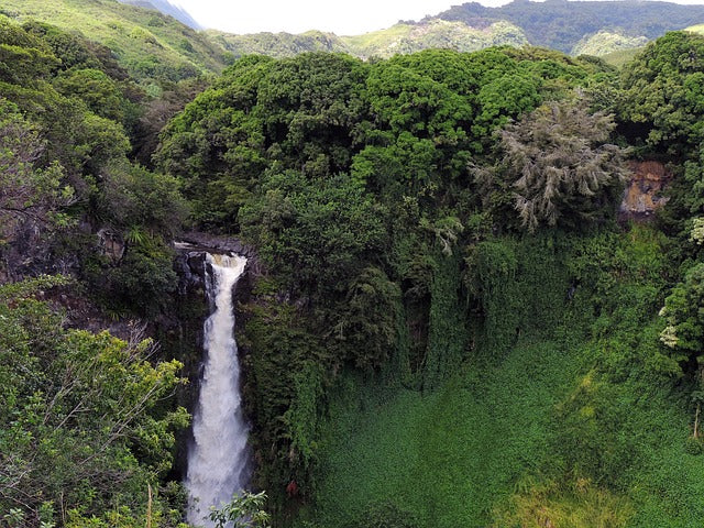Hawaii, Waterfall, Tropical