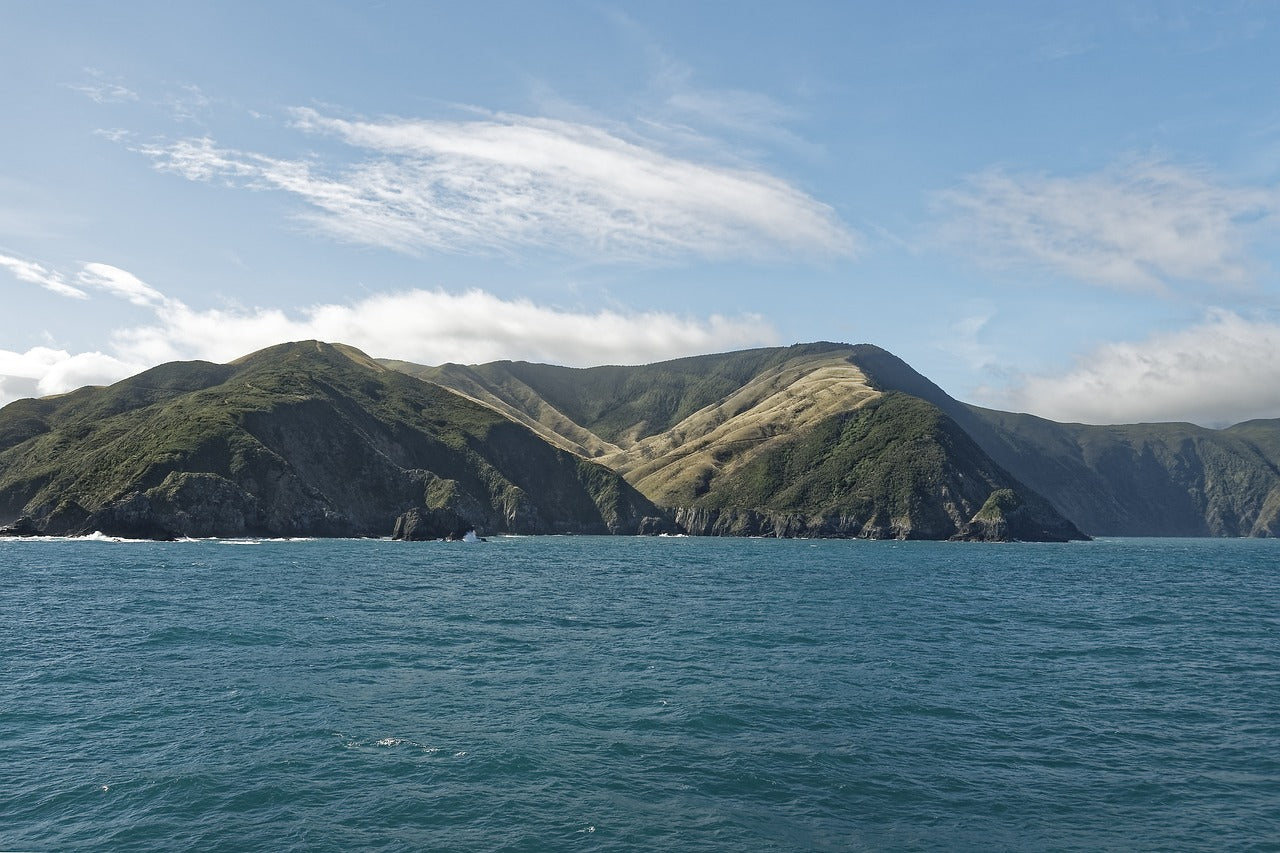 New Zealand, Cook street, Sea