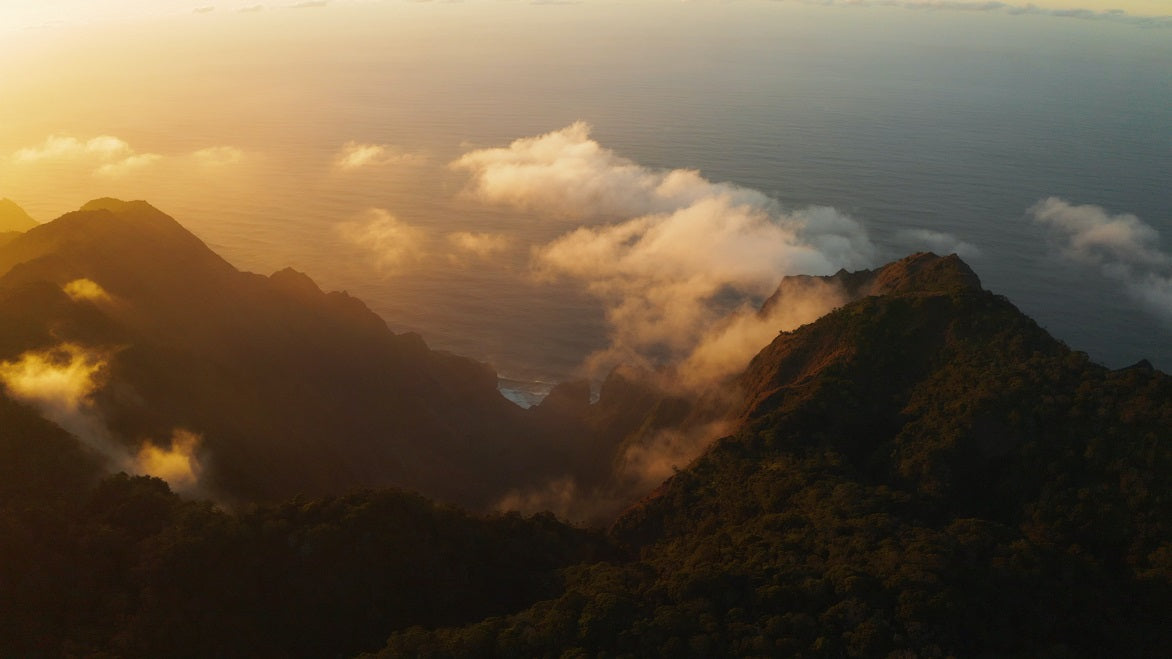 Polynesian Landscape-Shaka Tribe