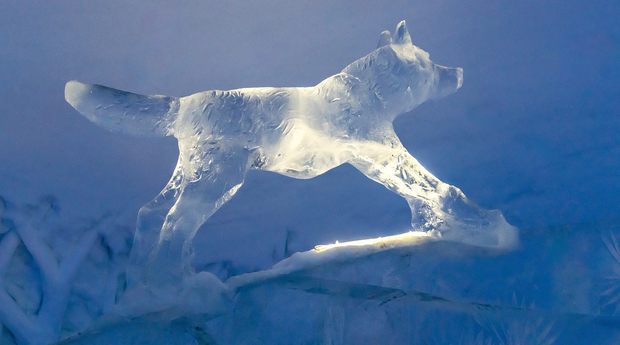 Wolf, ice sculpture, shaka tribe