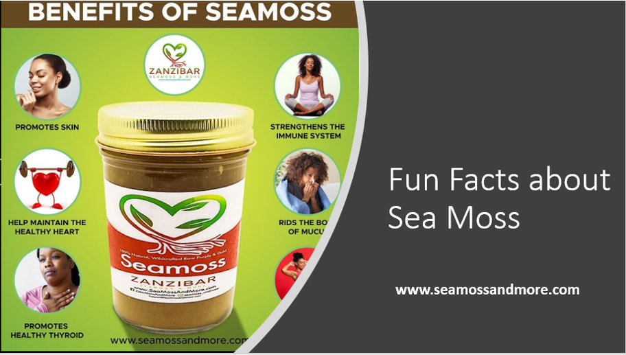 Fun Facts about Sea Moss