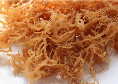 African Sea Moss also called seaweed