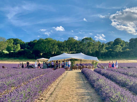 Private Lavender Event